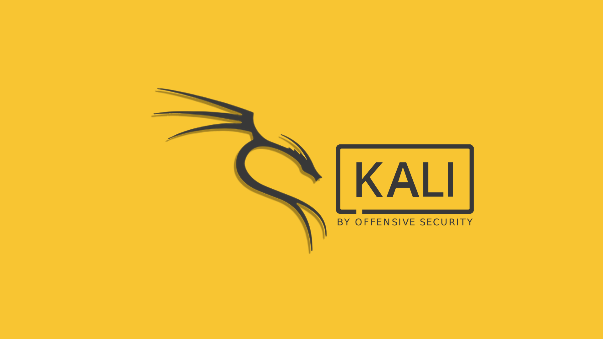 Kali Linux system requirements